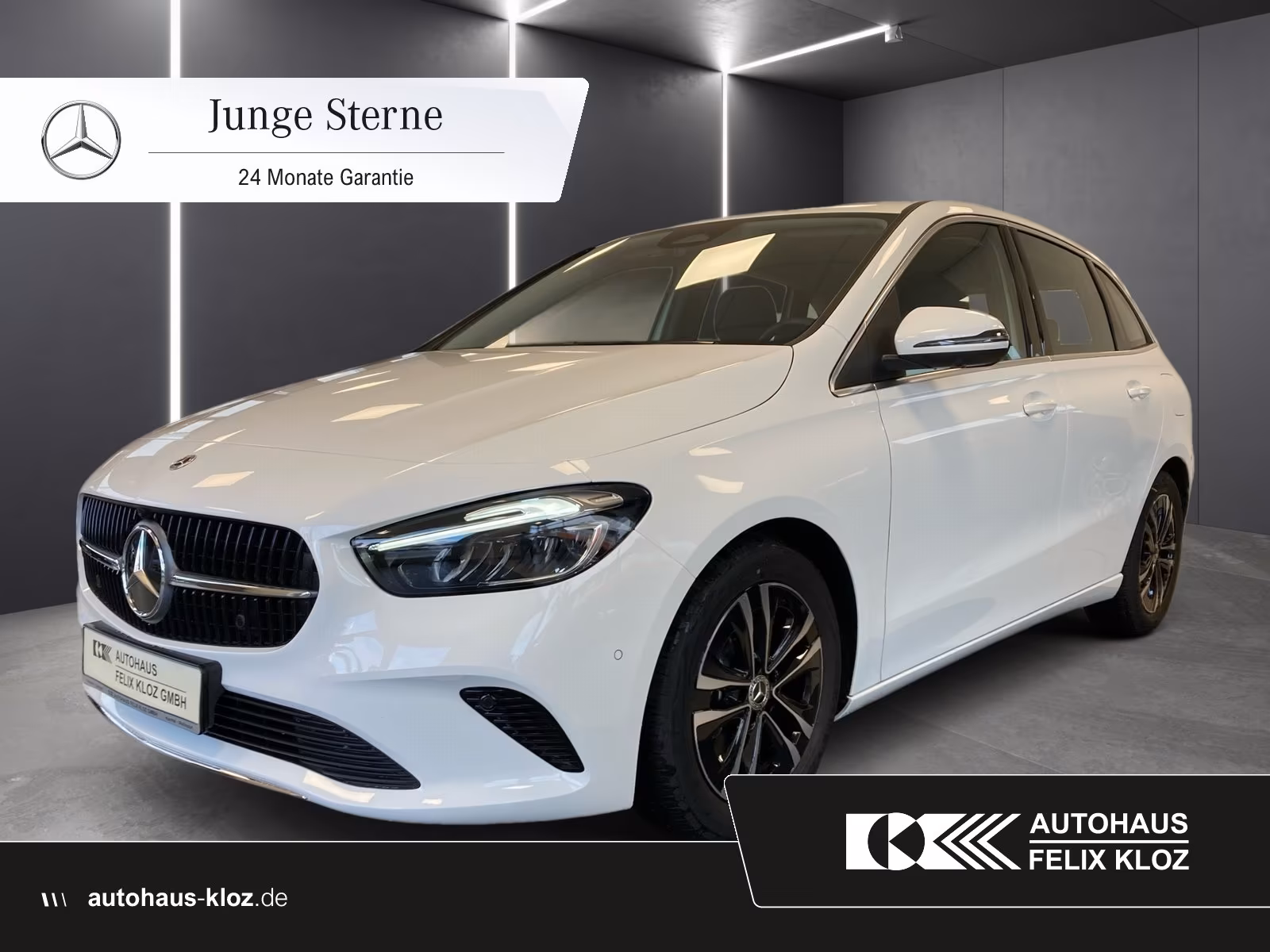 Mercedes-Benz B 220 4M Progressive Adv.*Totwinkel*360*Winter*