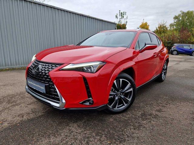 Lexus UX 250h Luxury Line HUD ESD Leder Panodach Navi