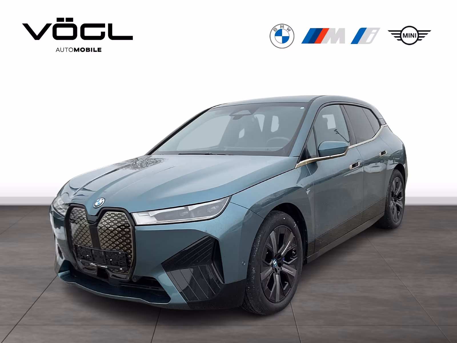 BMW iX xDrive40 Sportpaket AHK