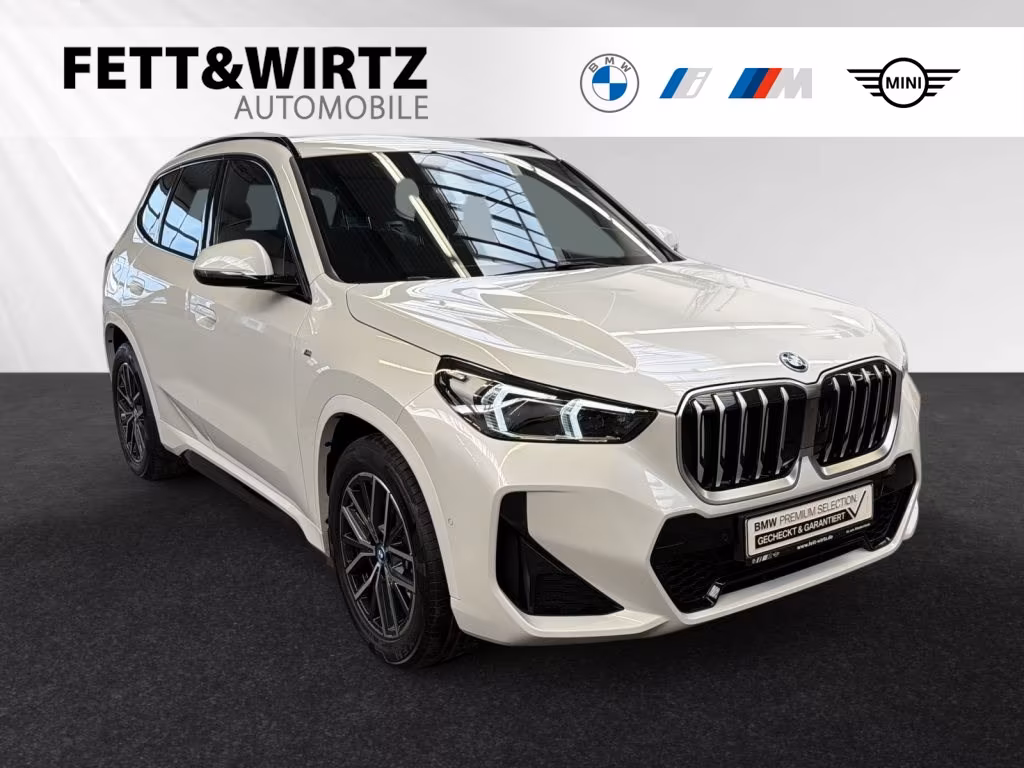 BMW X1 xDrive25e M Sportpaket|Parkass.|18″LMR|LED