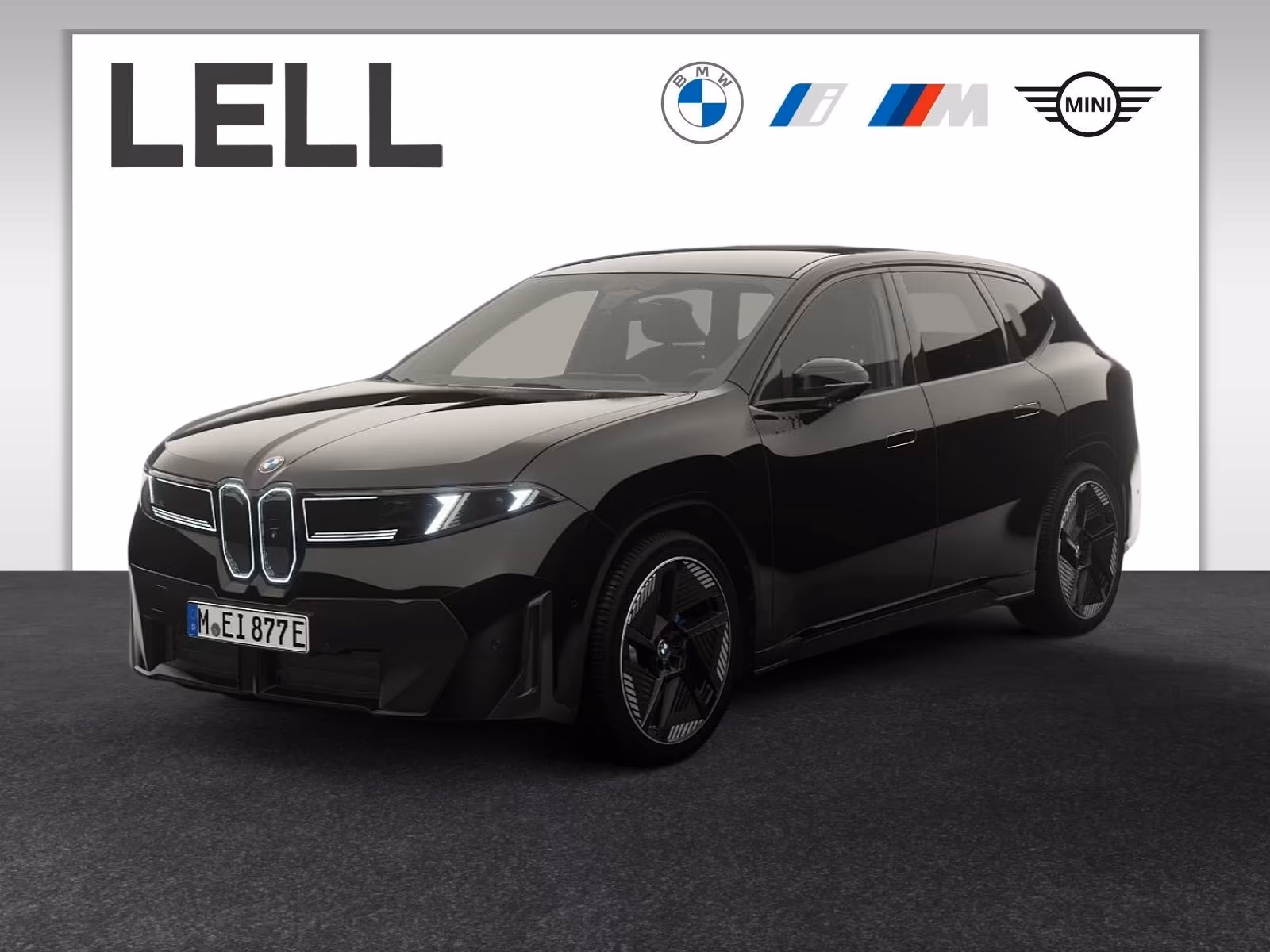 BMW iX3 50 xDrive M Sportpaket Head-Up HK HiFi DAB