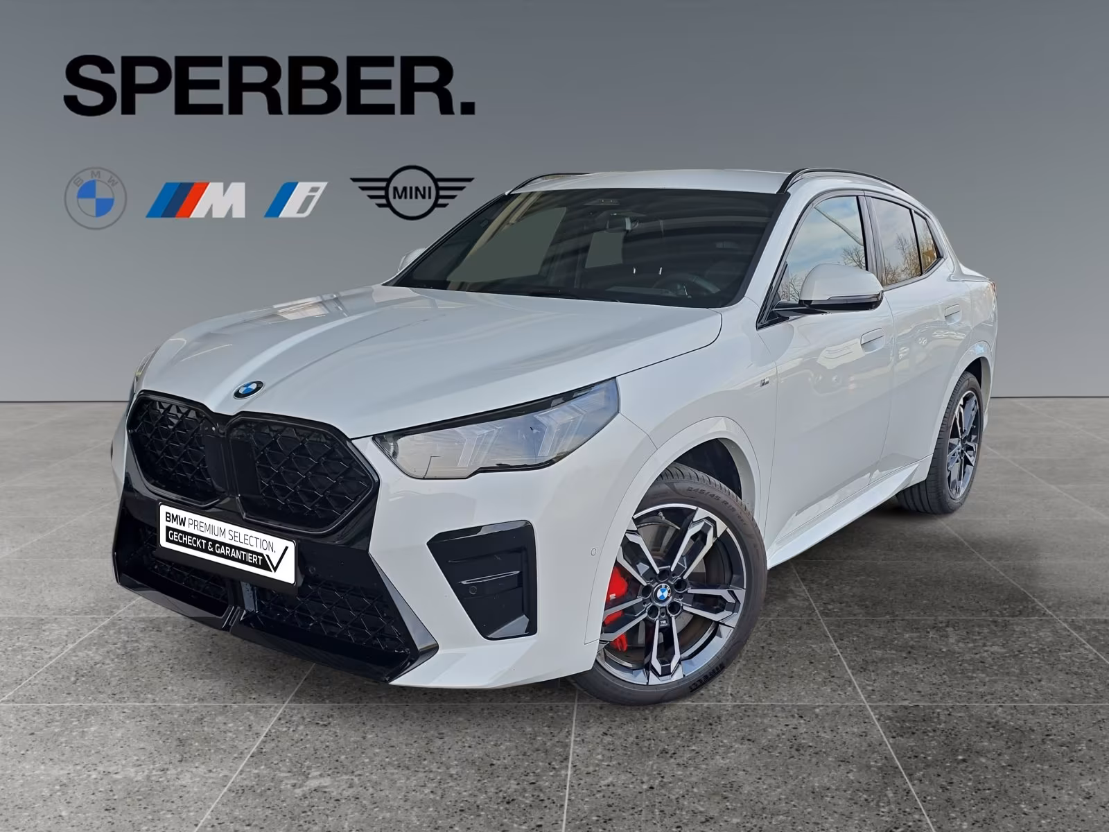 BMW X2 xDrive20d M Sportpaket Pro*Head Up*Driving A