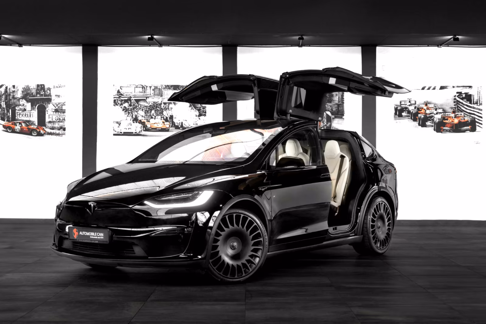Tesla Model X PLAID 1020PS Tri-Motor AWD Premium 6Sitz
