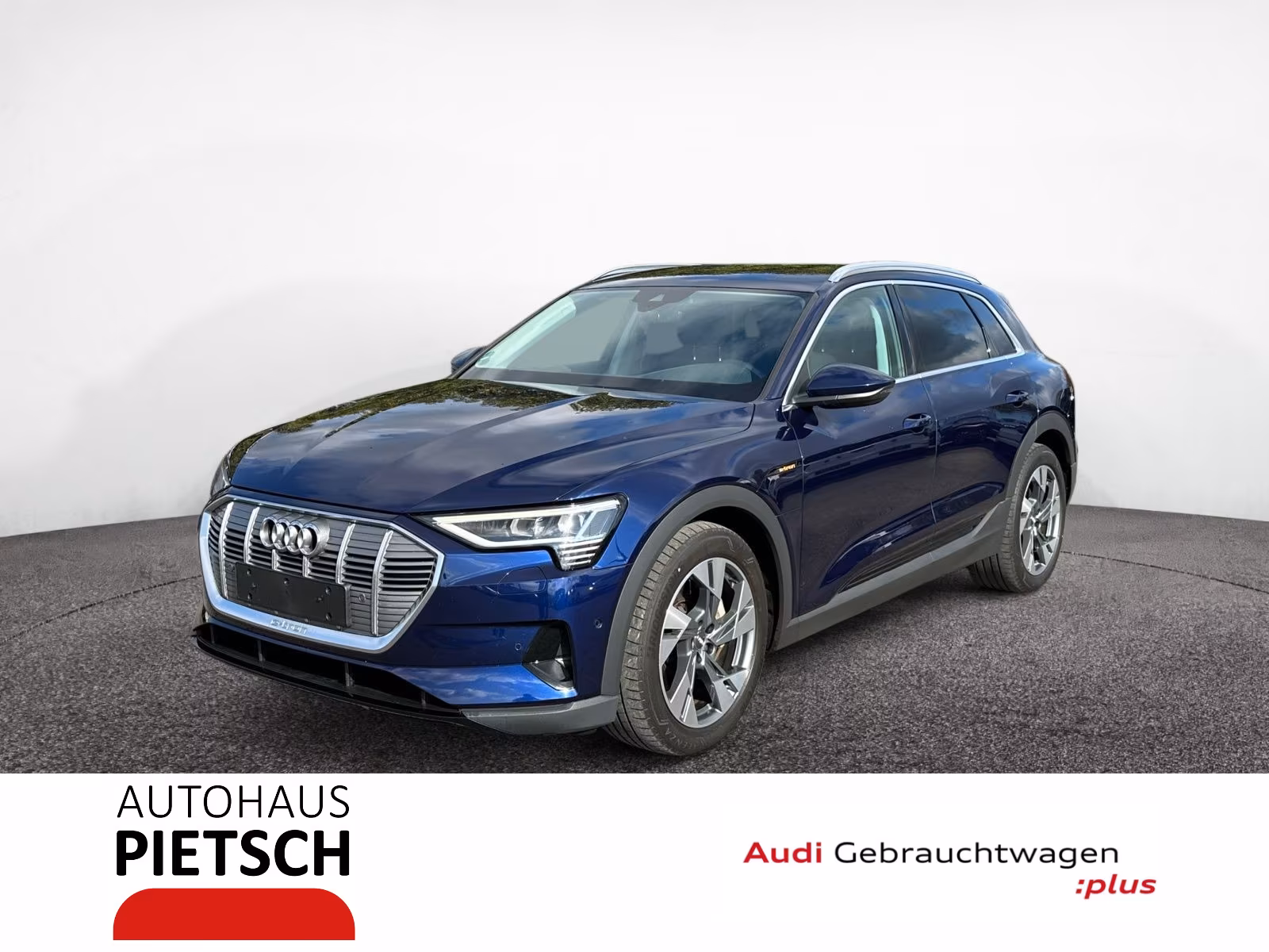 Audi e-tron 50 quattro ACC Keyless Kamera Teilleder