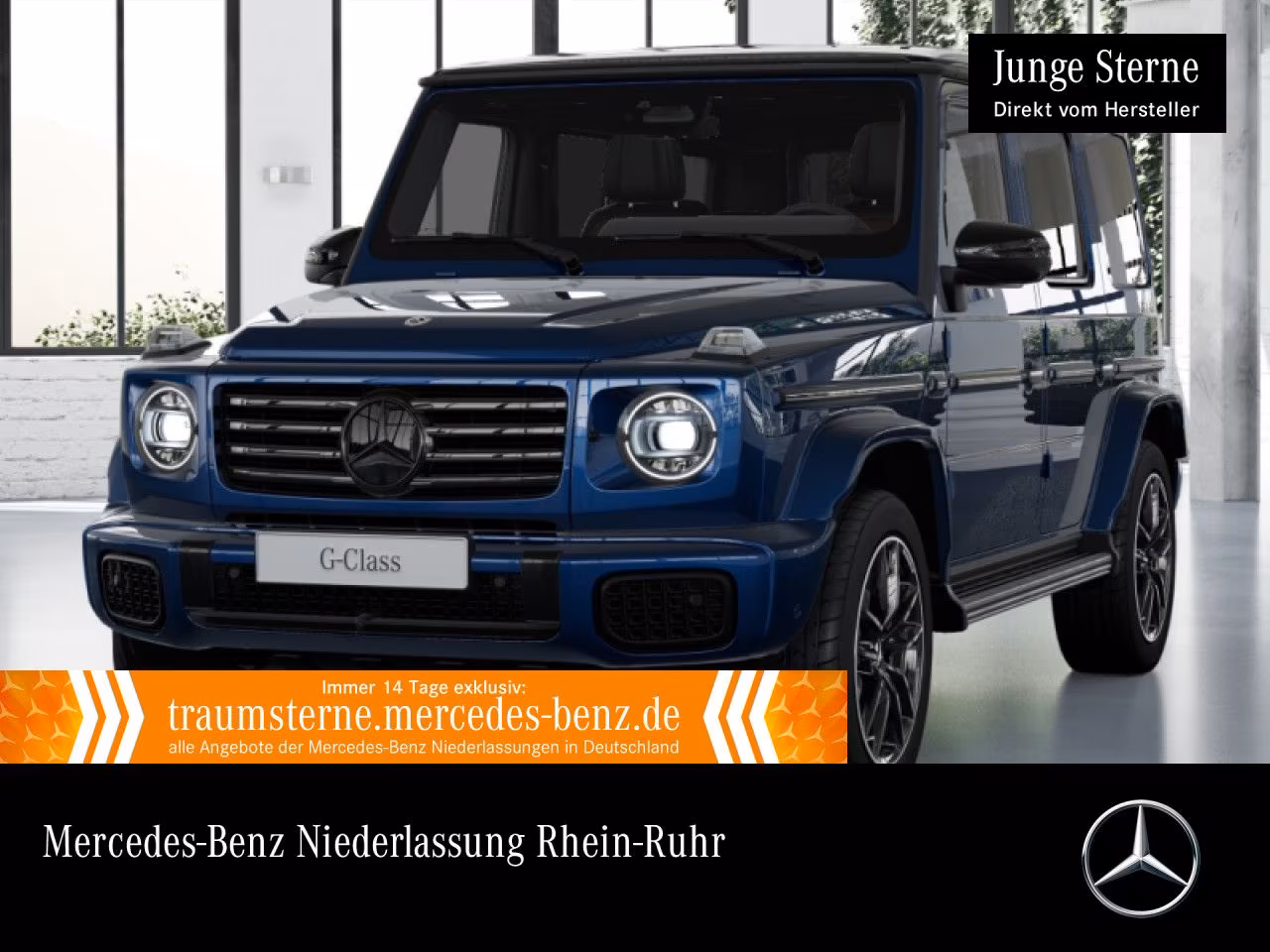 Mercedes-Benz G 450 d AMG/EXCLUSIVE/NIGHT/MANUFAKTUR/STANDH/
