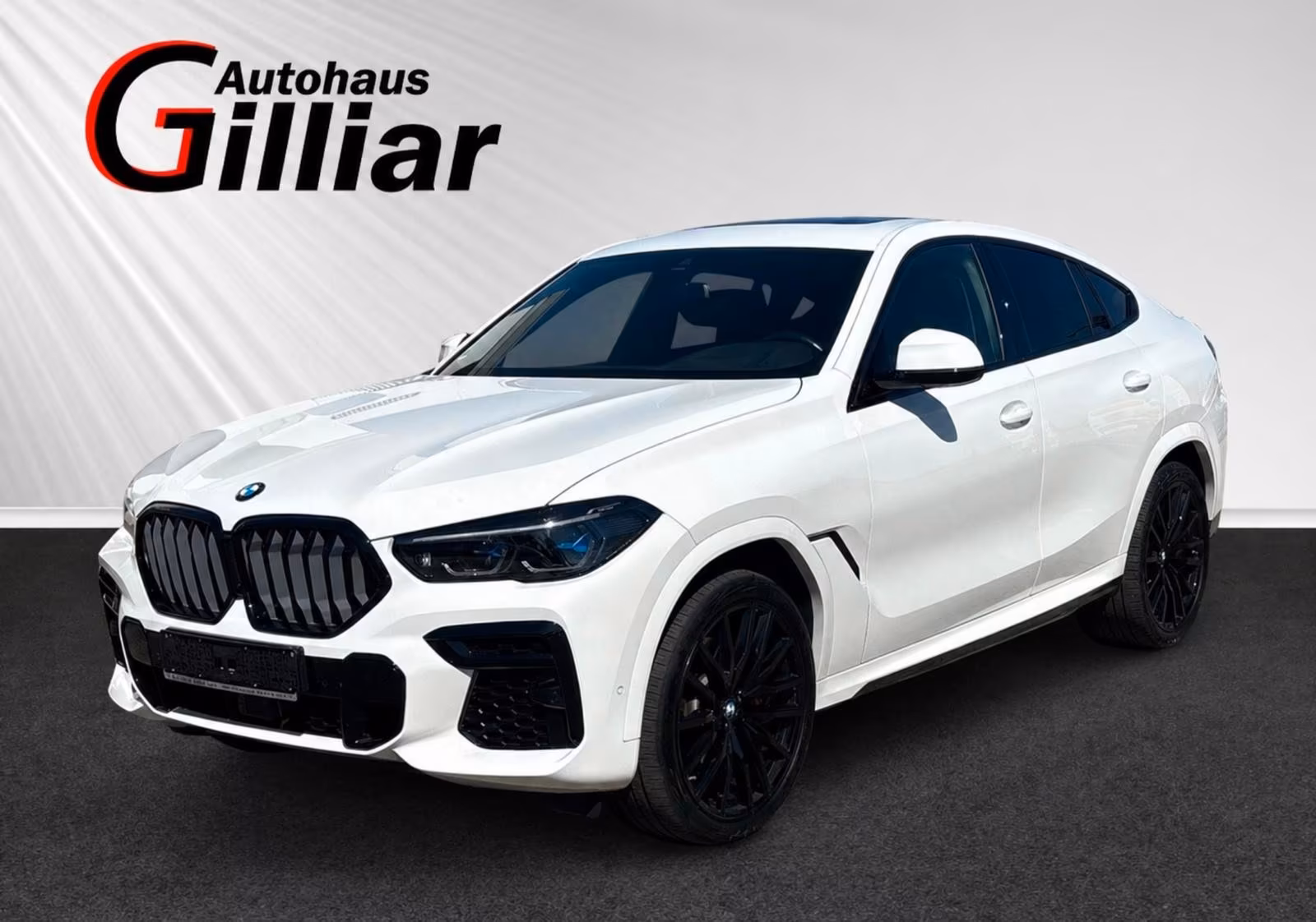 BMW X6 xDrive 30 d M Sport
